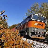 The new strategy of the AWT Group is underway and has proved profitable in its first six months