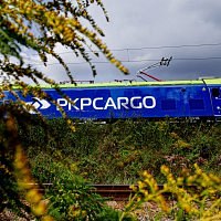 Appointment of a Member of the Management Board of PKP CARGO S.A. for Financial Affairs